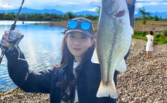 广场舞蝴蝶飞飞